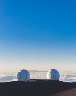 NDP statement following the Brussels attacks