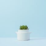 Stop Black Friday from Creeping into Thanksgiving!